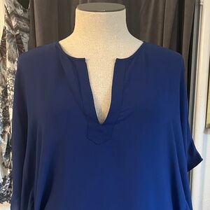 BCBG Blue top